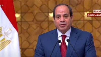 فيديو.. السيسي: نسعى للارتقاء بالعلاقات المصرية الجزائرية