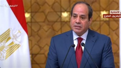 فيديو.. السيسي: استمرار التعاون مع الجزائر لمكافحة الإرهاب