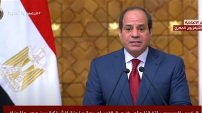 فيديو.. السيسي: اتفقت مع تبون على ضرورة خروج المرتزقة من ليبيا