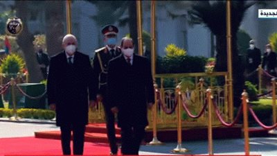متحدث الرئاسة: جلسة مباحثات ثنائية بين السيسي ونظيره الجزائري