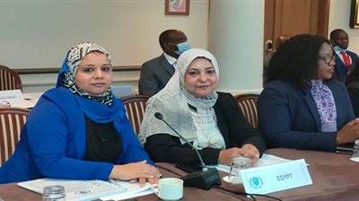 مصر تشارك في الاجتماع الوزاري لـ