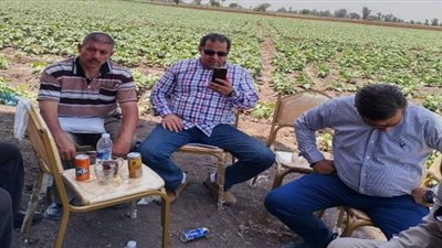 ندوة إرشادية عن محصول القطن جيزة 94 ببلبيس