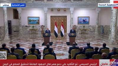 (فيديو) السيسي: مصر لن تدخر جهدًا في مساعدة اليمن