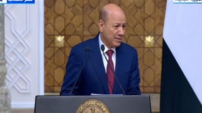 (فيديو) رشاد العليمي: اليمن جزء من أمن مصر