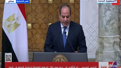 السيسي: أمن واستقرار اليمن يمثل أهمية قصوى لمصر وللعالم العربي (فيديو)