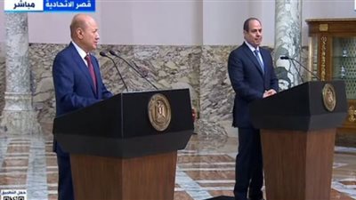 رشاد العليمي: مصر تقف مع الشرعية لإسقاط الانقلاب في اليمن (فيديو)