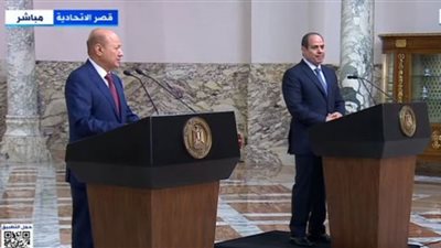 العليمي: مصر تكتب التاريخ.. والسيسي أصبح ملهمًا لنهضة عربية حديثة (فيديو)