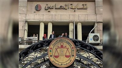 المرافعات في محاضرتين بمعهد محاماة القاهرة الكبرى.. غدًا