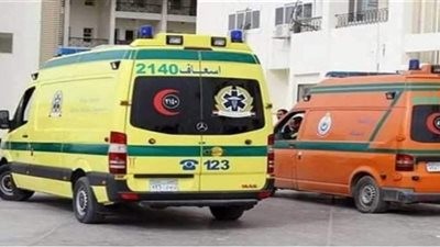 مصرع ربة منزل وإصابة عامل ومزارع في مشاجرة بطهطا