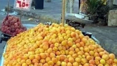 إنخفاض أسعار الخضروات والفاكهة بأسواق محافظة الفيوم