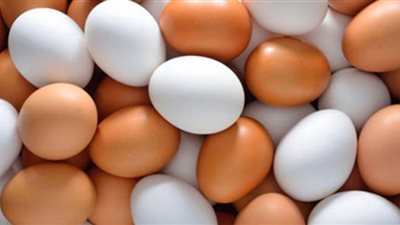 أسعار البيض بالأسواق المحلية اليوم الخميس