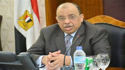 وزير التنمية المحلية يفتتح الدورة التدريبية الثانية للكوادر المحلية الأفريقية