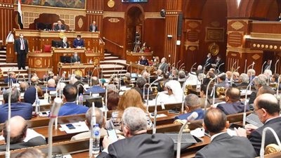 أعضاء الشيوخ يطالبون الحكومة بالكشف عن آليات تحقيق مستهدفات خطة 2023/2022