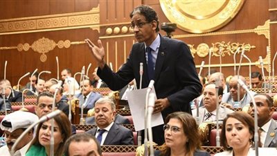 طارق تهامي يطالب بدعم الصناعات الصغيرة للنهوض بالاقتصاد المصري