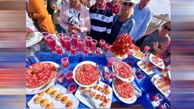 طن فراوله و11 شيف فى مهرجان تنشيط السياحة على شواطىء مرسى علم