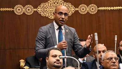 بمناسبة الذكرى الرابعة التنسيقية.. النائب علاء مصطفى: 