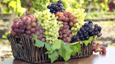 دراسة: العنب يعمل على خفض مستوى ضغط الدم