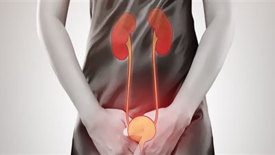 طرق الوقاية من التهاب المسالك البولية