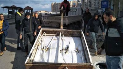 عازر ورسلان يستعرضان الخطة الاستراتيجية المتكاملة لإدارة مياه الأمطار بمحافظة الإسكندرية