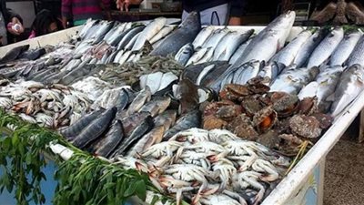ننشر أسعار الأسماك بسوق العبور اليوم الجمعة