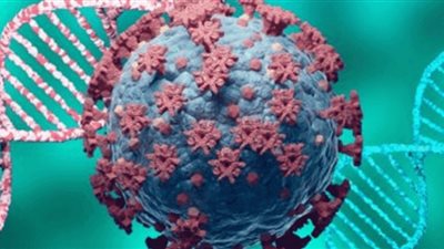 مسئول مغربي: 