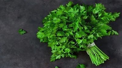 هل يمنع تناول البقدونس تطوّر السرطان؟ دراسة تفجر مفاجآة