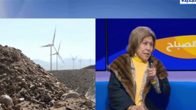 فريدة الشوباشي: أهل الشر يُشككون في إنجازات ومشروعات الدولة المصرية (تفاصيل)