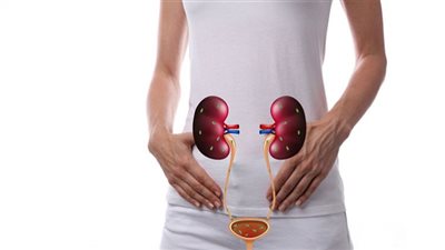 ما هي الأعراض المبكرة لالتهاب المسالك البولية؟