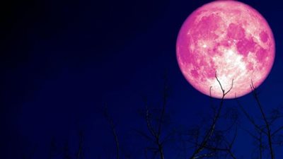 كل ما تريد معرفته عن قمر الفراولة وموعد ظهوره | أحلى بدر في السنة