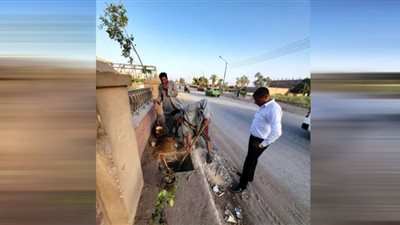 بمبادرة 