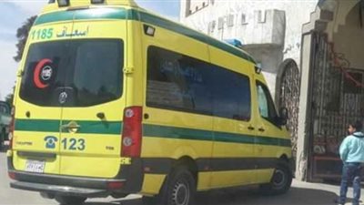 القاتل الصامت يكتب نهاية أم وابنتها في الهرم