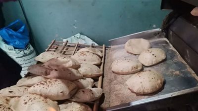 محافظ الدقهلية يحيل 27 مخالفة تموينية متنوعة إلى النيابة العامة