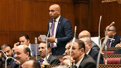 علاء مصطفى: تعديلات مشروع قانون الرياضة أخذ بملاحظات 