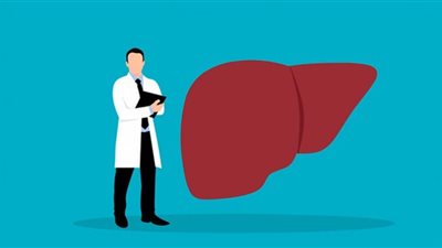 نصائح طبية للحفاظ على صحة الكبد