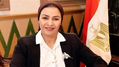 برلمانية: توجيه الرئيس السيسي بتأجيل زيادة اسعار الكهرباء تعكس أهتمام الدولة بمحدودي الدخل