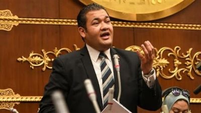 الحكومة تؤيد مقترح النائب محمد عمارة باستحداث استراتيجية وطنية للتوعية الشاملة