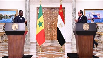 دبلوماسي: القادة الأفارقة يسعون للاستفادة من تجربة الرئيس في القضاء على الإرهاب (فيديو)