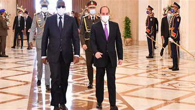 خبير في الشأن الأفريقي: مصر تسعى دائمًا في صالح الشعوب الأفريقية (فيديو)