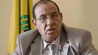 برلماني: حصول الجمعيات الأهلية على تمويل من الخارج قانوني والدولة تدعمه (فيديو)