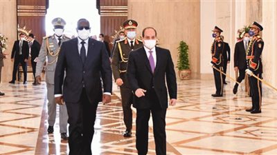 الدارسات الاستراتيجية: الرئيس السيسي يعود بالعلاقات الإفريقية إلى مجدها (فيديو)