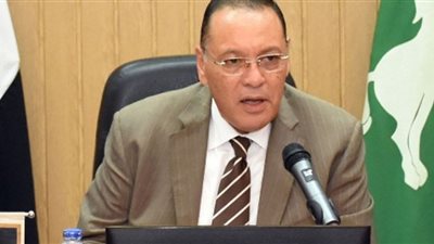 محافظ الشرقية تنفيذ 9 مشروعات خدمية وتنموية بمشتول السوق