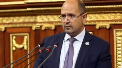 طاقة النواب تثمن جهود البترول في مواجهة التحديات العالمية