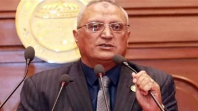 برلماني: مصر تعيش أمانًا سياسيًا واقتصاديًا غير مسبوق