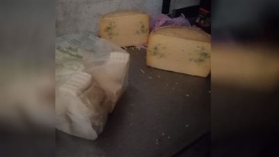 محافظ الدقهلية يحيل 37 مخالفة تموينية متنوعة إلى النيابة العامة