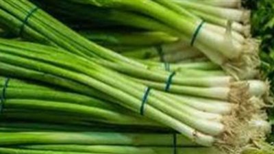 يساعد على الرجيم .. أبرز فوائد تناول البصل الأخضر