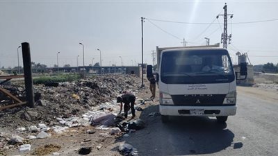 حملة نظافة وتجميل و الإنارة بمدينة التل الكبير بالإسماعيلية