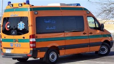 رجل يضرب ابنته بجنزير حتى الموت بالمنوفية