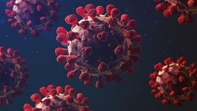 الصحة توضح الفرق بين أميكرون والمتحورات الأخرى