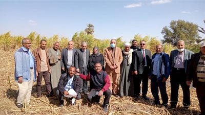 فريق تحديث الري يزور الأقصر لتشجيع المزارعين على التوسع في زراعة قصب السكر بالشتلات