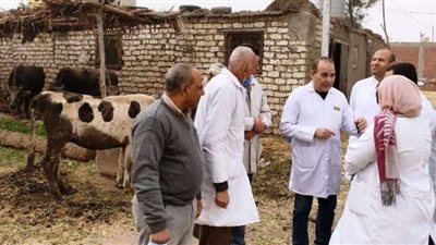 بيطري الشرقية يُحصن 34 ألف رأس ماشية للوقاية من الجلد العقدي وجدري الأغنام